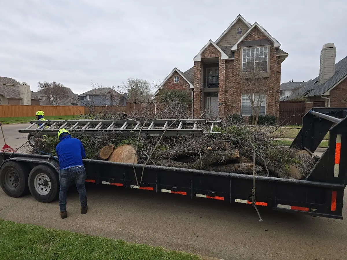 Expert Tree Fertilization with proper safety equipment in Eustis
